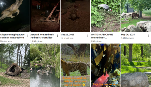 do-xuan-phu4-1751505826.png