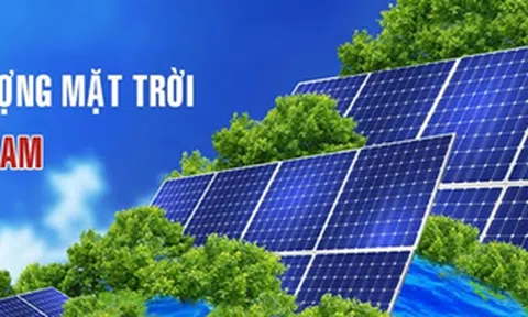 Công Ty TNHH TM DV Xuất Nhập Khẩu Kiến Nam – Tiên phong kiến tạo triệu mái nhà xanh tại Việt Nam