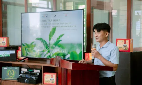 Vùng chè Thái Nguyên nâng cao chất lượng, xây dựng thương hiệu