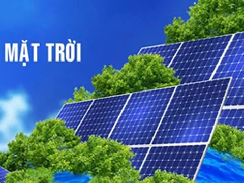 Công Ty TNHH TM DV Xuất Nhập Khẩu Kiến Nam – Tiên phong kiến tạo triệu mái nhà xanh tại Việt Nam