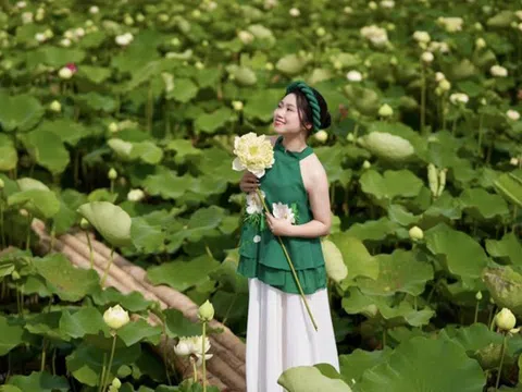Phùng Thu Hương - Cuộc sống của cô gái văn phòng làm người sáng tạo nội dung Youtube