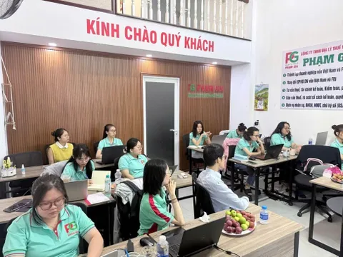Dịch vụ kế toán trọn gói cho doanh nghiệp vừa và nhỏ, giải pháp tối ưu chi phí