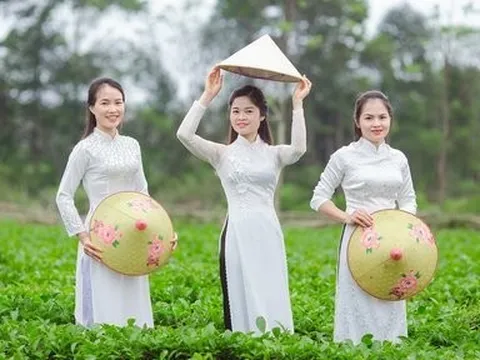 “Thiên đường chè Nam Trà” hút khách thăm quan, check-in