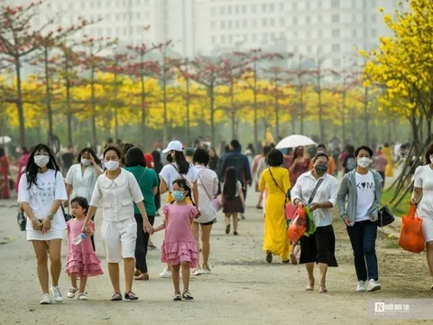 “Biển người" đổ về đường hoa phong linh giữa lòng Thủ đô