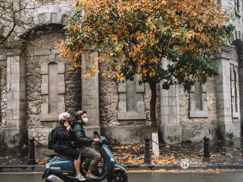 Hà Nội đẹp mơ màng trong những ngày tháng 3 khi lộc vừng thay lá