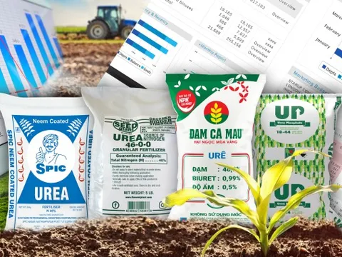 Đạm Phú Mỹ: Cấm xuất khẩu phân bón khó có thể xảy ra