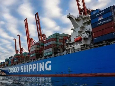 Đề nghị Bộ Công an phối hợp với Interpol điều tra vụ 36 lô điều nguy cơ mất trắng