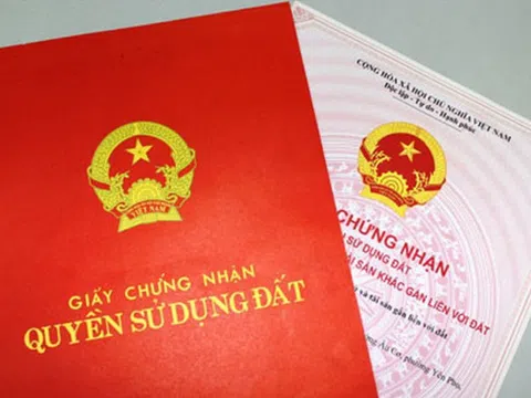 Cựu công an cầm đầu đường dây tráo sổ đỏ chiếm đoạt 23 tỉ đồng