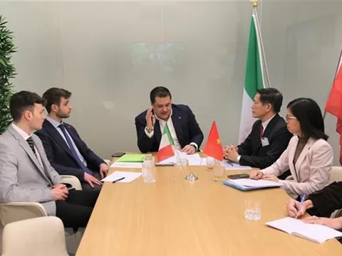 Cảnh sát Italy vào cuộc vụ 36 container hạt điều Việt Nam bị mất kiểm soát