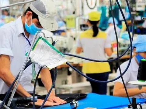 Thu thập thông tin về thị trường lao động