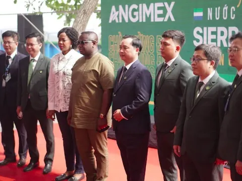 Angimex (AGM): Ký kết xuất khẩu gạo cho Sierra Leone với tổng giá trị lên đến 1,3-1,4 tỷ USD