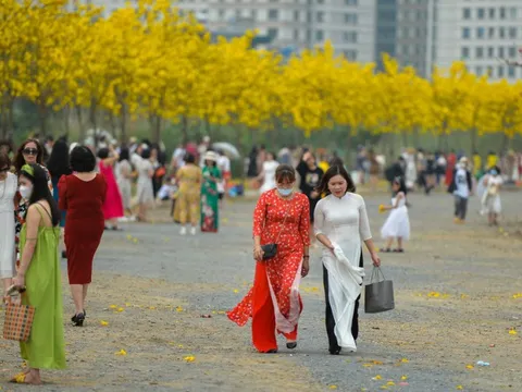 Hà Nội: Dừng đón khách vào đường hoa phong linh đẹp như trời Âu