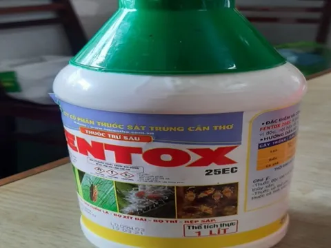 NÓNG: Bé trai 6 tuổi bị bố đẻ đầu độc ở Cần Thơ