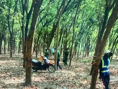 Đồng Nai: Phát hiện thi thể một phụ nữ bị trùm đầu trong lô cao su