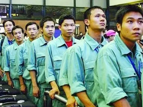 Nghệ An dẫn đầu cả nước về xuất khẩu lao động