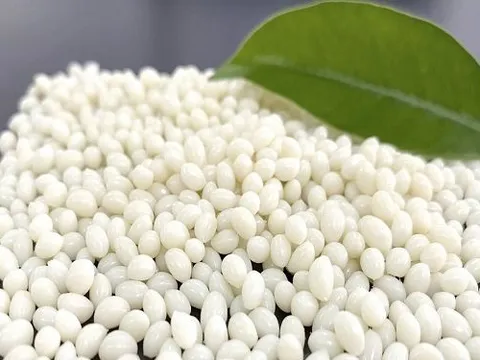 Nhựa phân huỷ sinh học của An Phát Holdings được phân phối toàn Bắc Mỹ