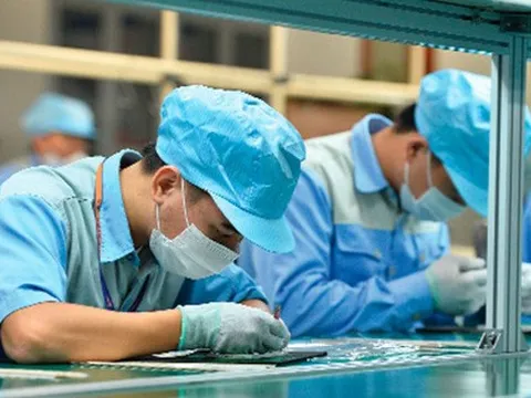 Những mức phạt mới về lao động, BHXH từ 2022 mà người lao động cần biết