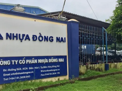 Nhựa Đồng Nai (DNP): Quy mô tăng trưởng thần tốc nhờ M&A nhưng lợi nhuận chỉ như muối bỏ bể, cổ phiếu tăng gần 50% trong tuần qua