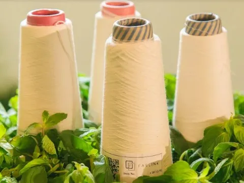 Đa dạng nguồn cung ngoài Trung Quốc: Lối đi cho doanh nghiệp dệt may Việt Nam để "bán chất xám thay vì bán nhân công"