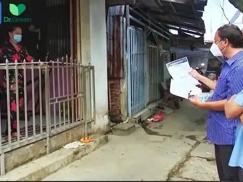 Số ca mắc Covid-19 giảm, có phải làn sóng Omicron đã qua đỉnh?