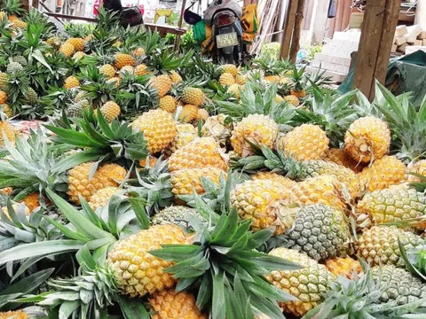 Loại quả rẻ như bèo, bán rong khắp nơi: Giúp quét sạch mỡ máu, bổ thận, hỗ trợ tiêu hóa