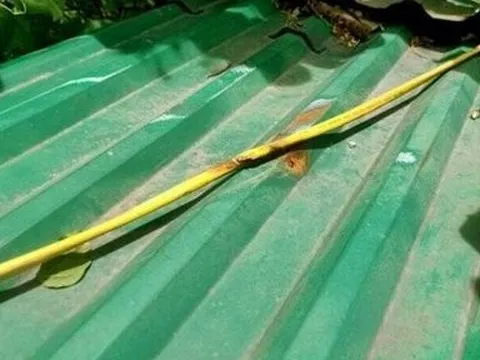 Thương tâm nam thanh niên bị điện giật tử vong trước ngày cưới