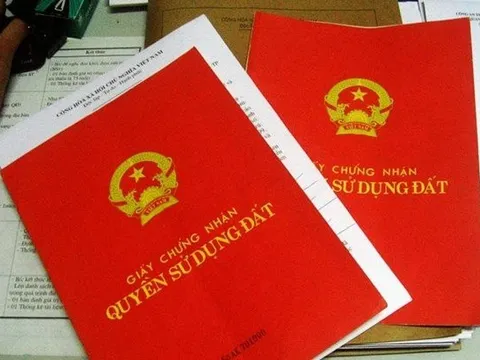 Khởi tố vụ làm giả sổ đỏ, lừa chiếm đất của người dân ở Gia Lai