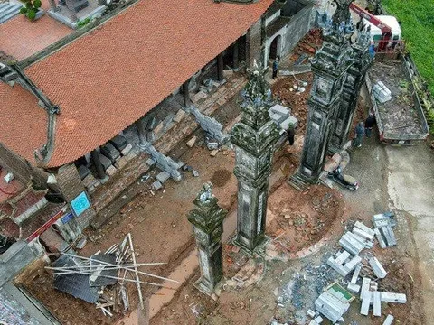 Thanh tra vào cuộc vụ chặt cây, tu sửa di tích Quốc gia