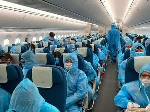 Bắt nữ Tổng Giám đốc trong vụ nhận hối lộ xảy ra tại Cục Lãnh sự