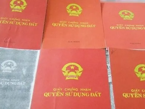 Khởi tố, bắt giam 2 đối tượng lừa bán đất giá rẻ chiếm đoạt tiền tỷ