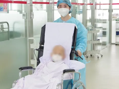 Ghép gan cho bệnh nhân 5 tuổi mắc ung thư nguy kịch từ gan người sống