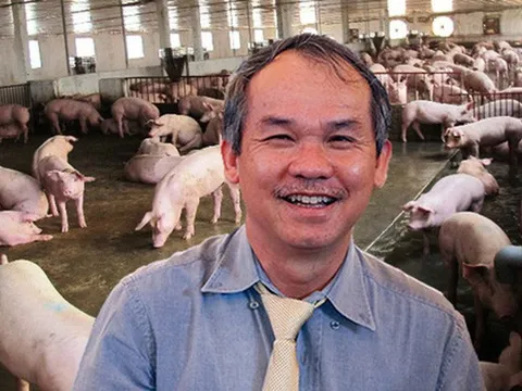 Hoàng Anh Gia Lai (HAGL) công bố lãi ròng hơn 203 tỷ đồng sau kiểm toán