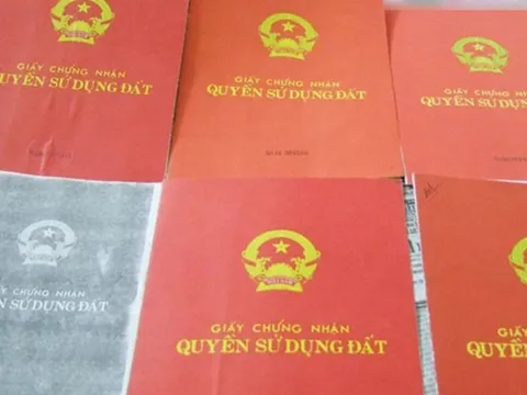 Bắt 2 đối tượng lừa bán đất để chiếm đoạt tiền tỷ