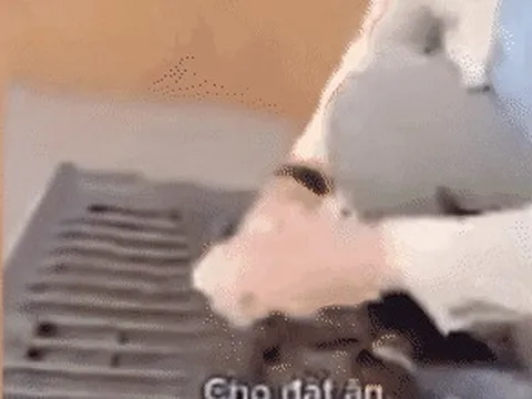 Danh tính nam thanh niên ngồi trên xe ô tô ném nhiều cọc tiền xuống đất nói "cho cá ăn nè"