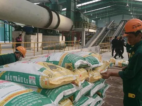 Phân bón Bình Điền (BFC) đặt kế hoạch năm 2022 đi lùi, lợi nhuận chỉ bằng một nửa năm 2021