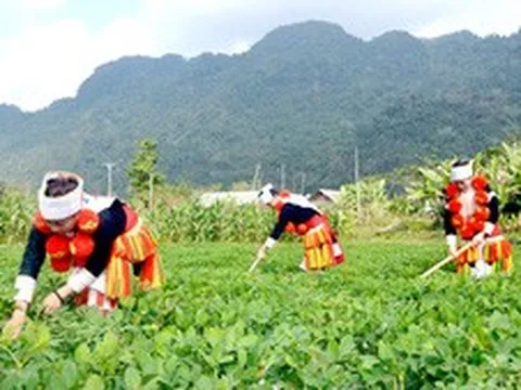 Khẩn trương hoàn thiện hồ sơ giao vốn các chương trình MTQG