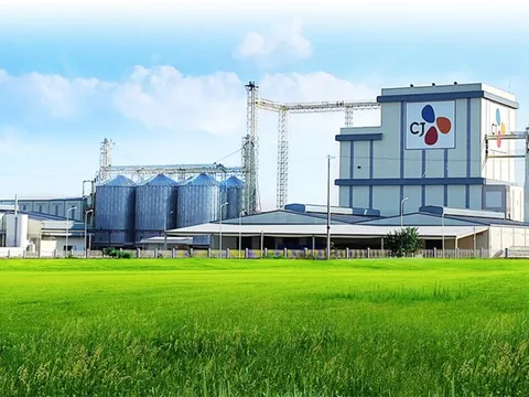 SP Group và CJ ONS bắt tay phát triển 50 MWp điện áp mái đến năm 2023