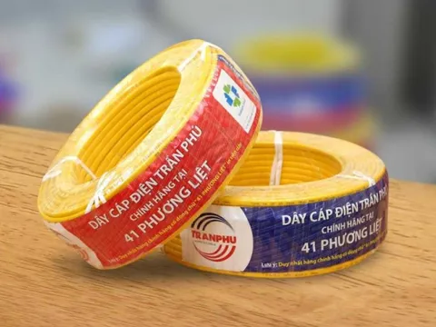 Trần Phú Cable lãi đậm với cổ phiếu REE