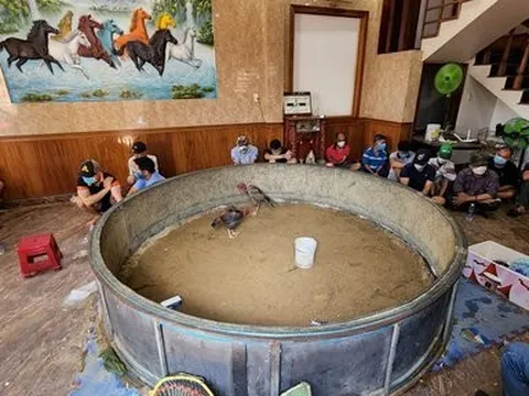 Đà Nẵng: Triệt phá sới bạc bằng hình thức đá gà