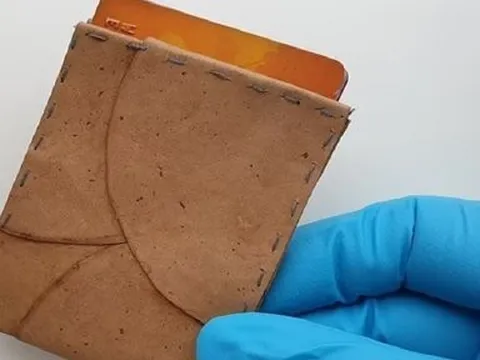 Da giả làm từ nấm thân thiện với môi trường