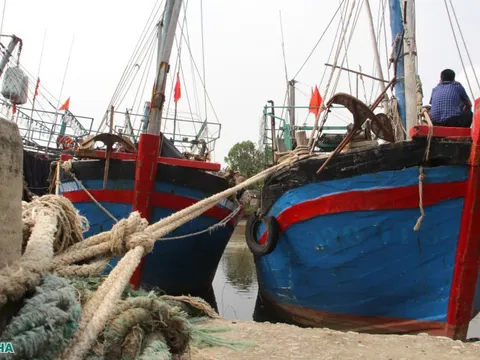 Hàng loạt tàu cá nằm bờ cả tháng vì giá xăng dầu tăng, nhiều ngư dân lên mạng rao bán tàu
