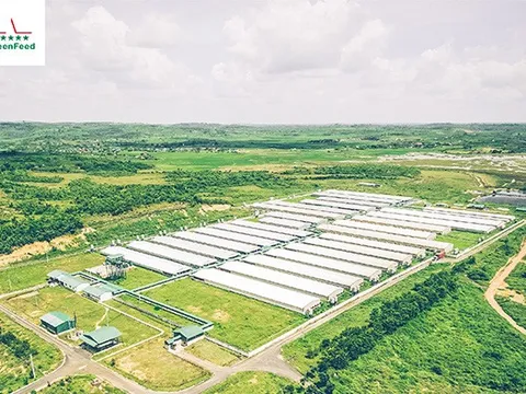 GreenFeed Việt Nam vừa mua lại thương hiệu LeBoucher – đối tác cung cấp thịt gà cho McDonald’s, An Nam Gourmet…