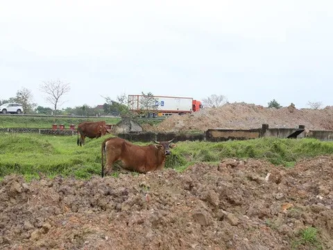 Cao tốc Bắc - Nam ì ạch tiến độ: Cơ quan quản lý, giám sát dự án yếu kém