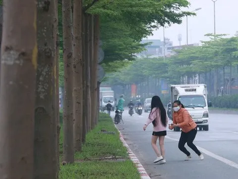 Hà Nội: Bất chấp nguy hiểm, nhiều người ra giữa đường chụp ảnh với hàng cây bàng lá nhỏ