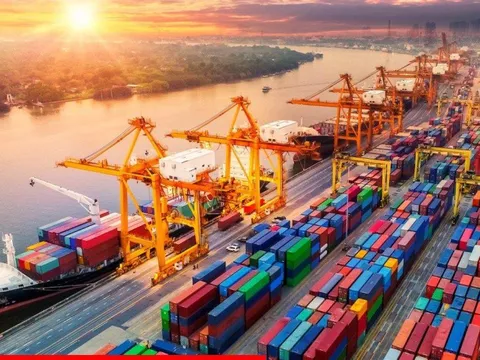 Cước phí vận tải leo thang, doanh nghiệp tìm giải pháp gỡ khó