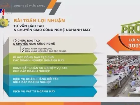 “Bánh vẽ” hưởng lợi nhuận khủng 150%/năm, nhận theo ngày của Công ty Capel