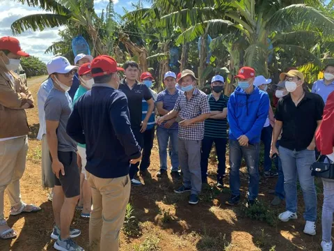 Muốn làm rõ tiềm năng tài sản HAGL, nhóm cổ đông kiến nghị tách bạch và tiến tới IPO 3 mảng trồng trọt, chăn nuôi, thể thao