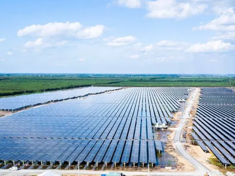 Bamboo Capital (BCG): Lợi nhuận sau kiểm toán chạm mức 1.000 tỷ đồng