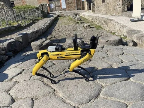 Italy sử dụng robot tuần tra để chống kẻ săn trộm
