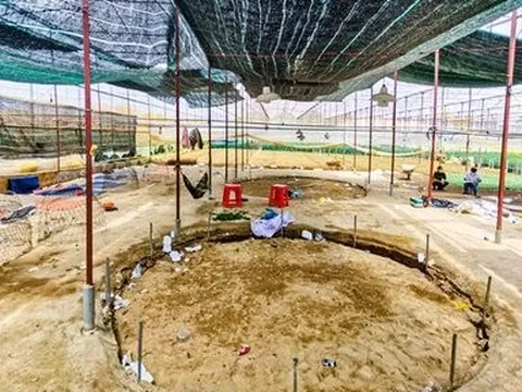 Lâm Đồng: Triệt phá sới gà trong nhà kính, thu giữ hơn 53 triệu đồng